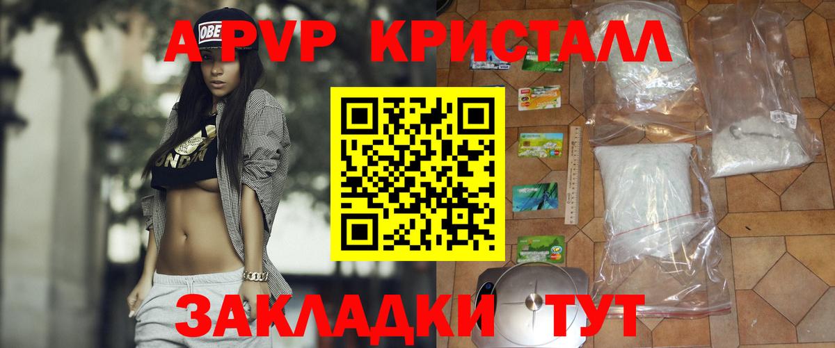 A PVP СК КРИС Сосновоборск