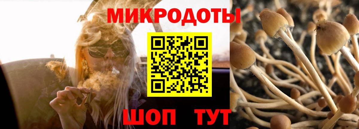 Псилоцибиновые грибы мицелий Сосновоборск