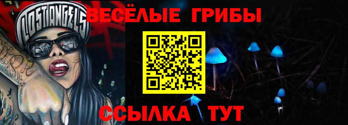 Галлюциногенные грибы мухоморы  Галлюциногенные грибы мицелий  Сосновоборск  Вход с VPN 